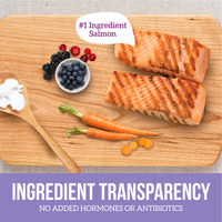 Grain Free Northern Catch - Salmon Recipe