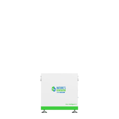MyGrid 10K with Transfer Switch for House Battery Backup