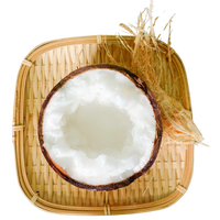 Freeze-Dried Macapuno Coconut Chips