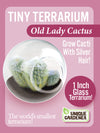Flowering Cacti Tiny Terrariums Bundle - 2 each of 3 Varieties