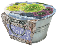Flowering Tin Garden Variety Pack - 1 Each of 3 Varieties