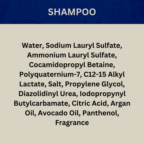Payden's Cobalt Bergamot Fig & Leather For Men Scented Argan Oil Hair Shampoo