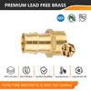 PEX A Expansion 3/4" PEX x 1/2" Female Threaded F1960 Adapter (Lead Free) Plumbingsell