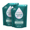 Shampoo (Sulfate/Paraben/Silicone-Free)