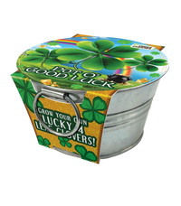 Pot O' Good Luck - Grow Your Own Shamrocks Multipack of 3