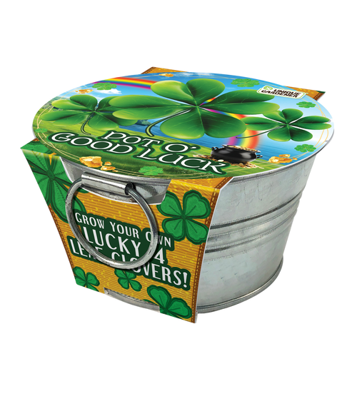Pot O' Good Luck - Grow Your Own Shamrocks Multipack of 3