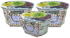Pail of Peace - Grow Your Own Succulents Multipack of 3