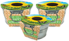Pail of Sunshine - Grow Your Own Sunflowers Multipack of 3