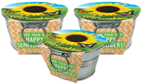Pail of Sunshine - Grow Your Own Sunflowers Multipack of 3