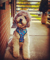 90s Baby Reversible Harness