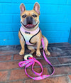 Slumber Pawty Reversible Harness
