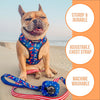 Teacher's Pet Reversible Harness