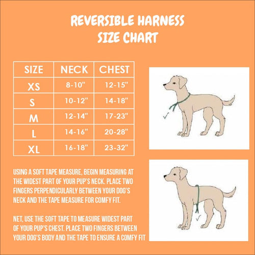 Fairytail Reversible Harness