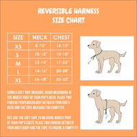 Chasing Rainbows Reversible Harness