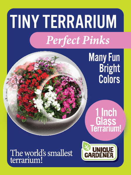 Flowering Tiny Terrariums Bundle - 1 each of 6 Varieties