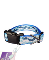 Blue Mountains Blue Nylon Dog Collar MD, LG, XL, Leash