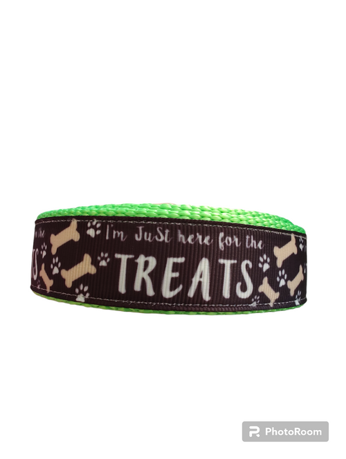 Here For The Treats Neon Green Nylon Dog Collar MD, LG, XL, Leash