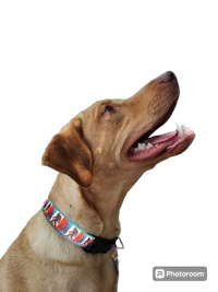 Bigfoot Sasquatch Black Nylon Dog Collar MD, LG, XL, Leash