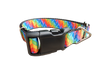 Rainbow Rays Nylon Dog Collar