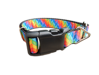 Rainbow Rays Nylon Dog Collar