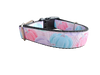 Pastel Pumpkins Nylon Dog Collar