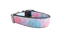 Pastel Pumpkins Nylon Dog Collar