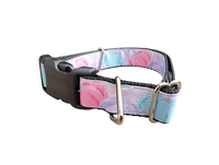 Pastel Pumpkins Nylon Dog Collar