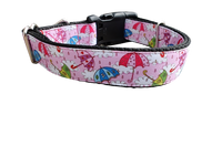 Umbrella Weather Nylon Dog Collar