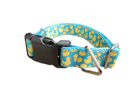 Teal Rubber Duckies Nylon Dog Collar