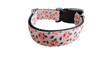 Peach Nylon Dog Collar