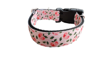 Peach Nylon Dog Collar