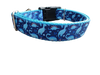 Blue Dinosaur Nylon Dog Collar