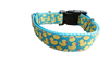 Teal Rubber Duckies Nylon Dog Collar