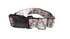 We Go Together Nylon Dog Collar