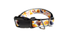 Chickens and Sunflowers Nylon Dog Collar