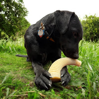Flufflehorn Dental Antler - Indestructible Nylon Dog Chew Toy XL | USA Made