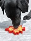Canadian Maple Leaf Nylon Dog Chew Toy - Indestructible & USA Made