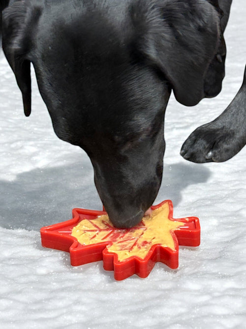 Canadian Maple Leaf Nylon Dog Chew Toy - Indestructible & USA Made