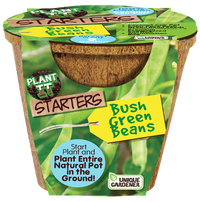 Green Bush Beans Plant-It-Starters - Multipack of 4