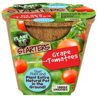 Grape Tomatoes Plant-It-Starters - Multipack of 4