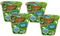 Sweet Basil Plant-It-Starters - Multipack of 4