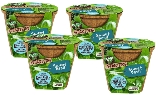 Sweet Basil Plant-It-Starters - Multipack of 4