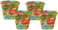 Grape Tomatoes Plant-It-Starters - Multipack of 4