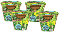 Green Bush Beans Plant-It-Starters - Multipack of 4