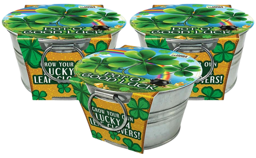 Pot O' Good Luck - Grow Your Own Shamrocks Multipack of 3