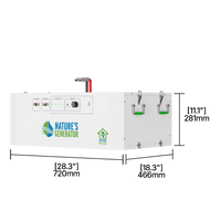 Powerhouse Gen 2 Whole Home Generator