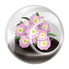 Flowering Tiny Terrariums Bundle - 1 each of 6 Varieties