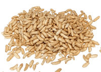 Puffed Brown Rice, Organic
