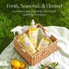 Everyday Multi-Surface Cleaner