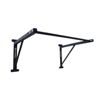 R2 Wall Mounted Pull-Up Bar